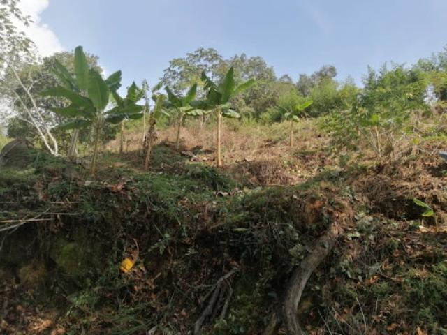 Lote En Venta En Silvania En Silvania V272315