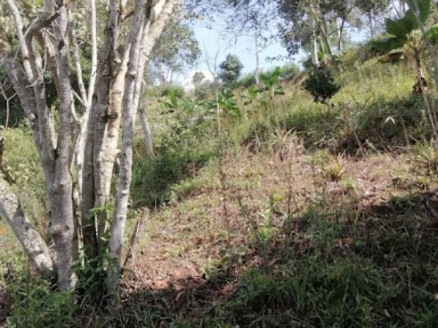 Lote En Venta En Silvania En Silvania V272315