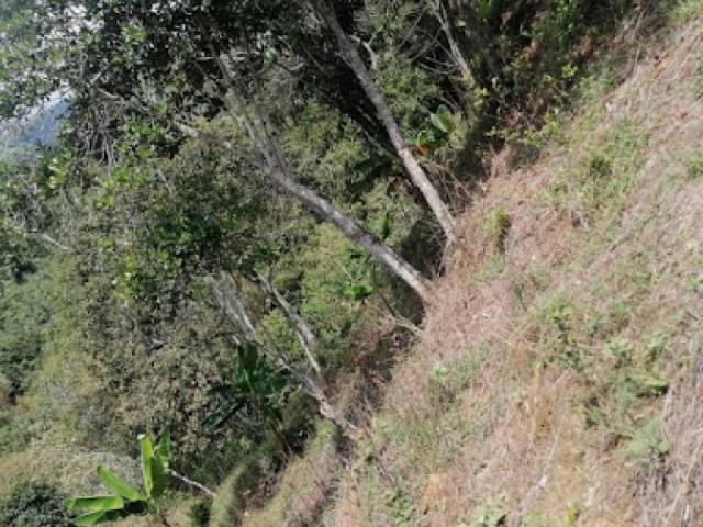 Lote En Venta En Silvania En Silvania V272315