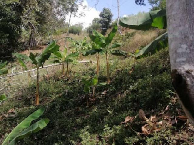 Lote En Venta En Silvania En Silvania V272315