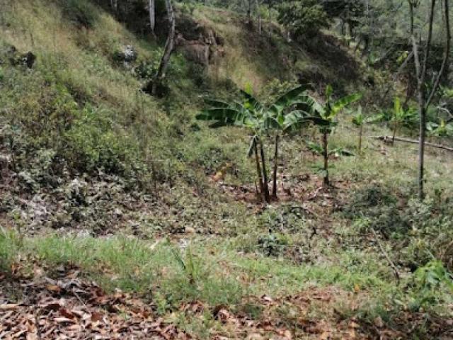 Lote En Venta En Silvania En Silvania V272315