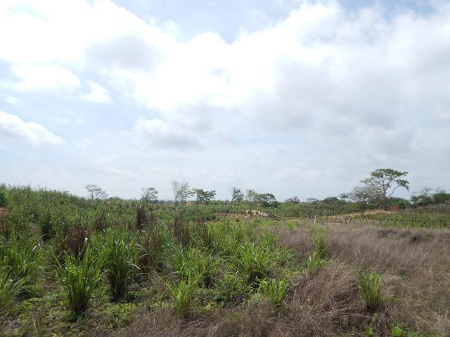 Lote En Venta En Soledad En Los Almendros V146048