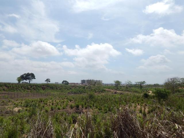 Lote En Venta En Soledad En Los Almendros V146048