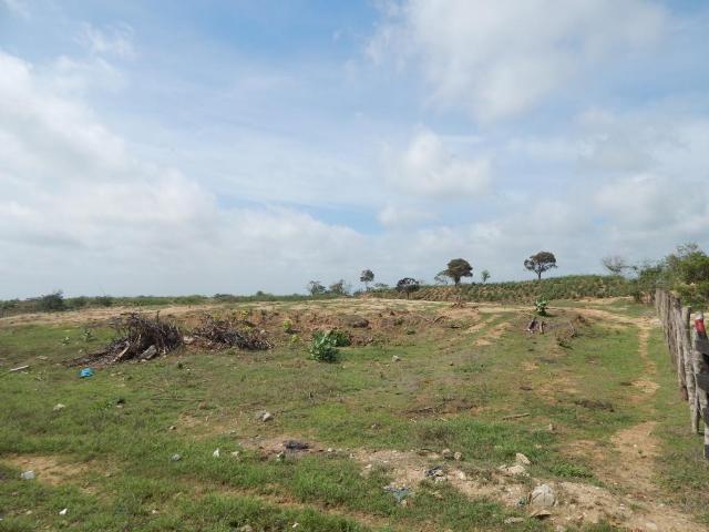 Lote En Venta En Soledad En Los Almendros V146048