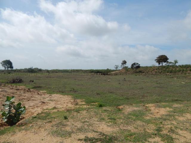 Lote En Venta En Soledad En Los Almendros V146048