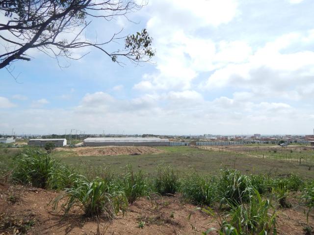 Lote En Venta En Soledad En Los Almendros V146048