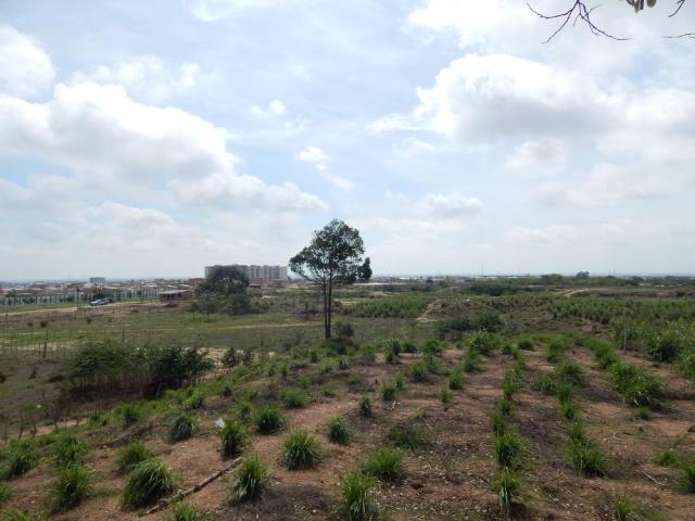 Lote En Venta En Soledad En Los Almendros V146048