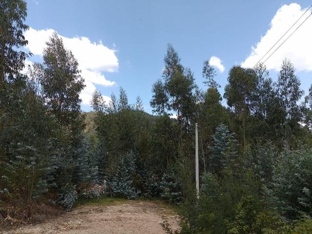 Lote en venta en Boyacá, Sotaquirá