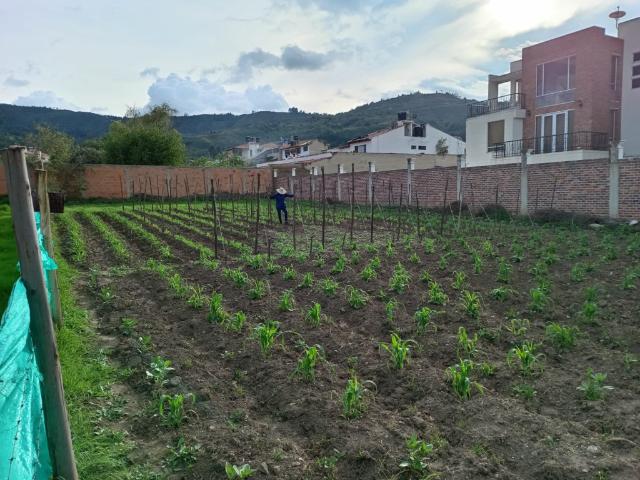 Lote en venta en Boyacá, Tibasosa