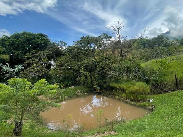 Lote En Venta En Venecia V152258