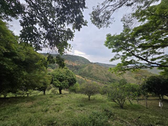 Lote En Venta En Yumbo En El Pedregal V233058