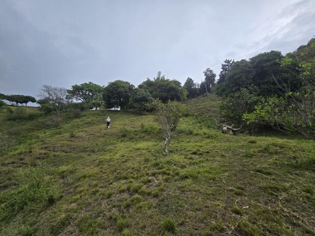 Lote En Venta En Yumbo En El Pedregal V233058