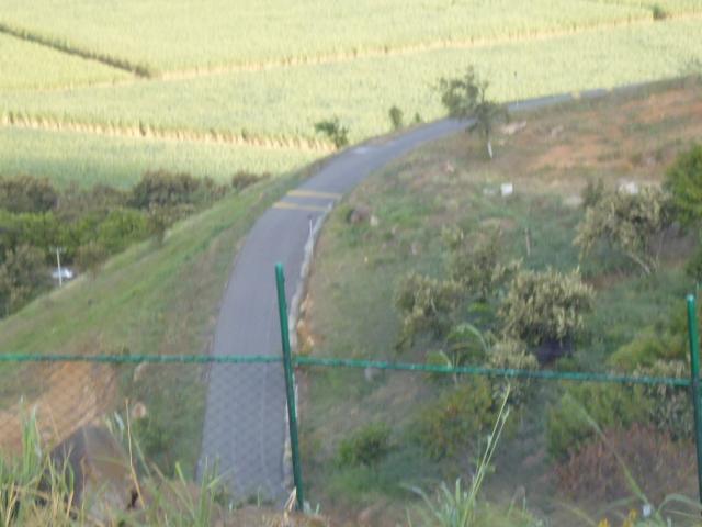 Lote En Venta En Yumbo En. V199708