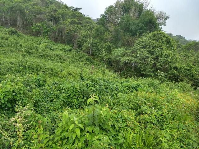 Lote En Venta En Yumbo V128267