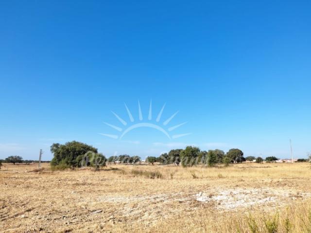 Terreno venda em Santiago Do Cacém, Setúbal