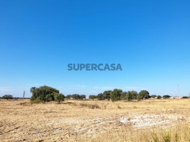 Terreno venda em Santiago Do Cacém, Setúbal