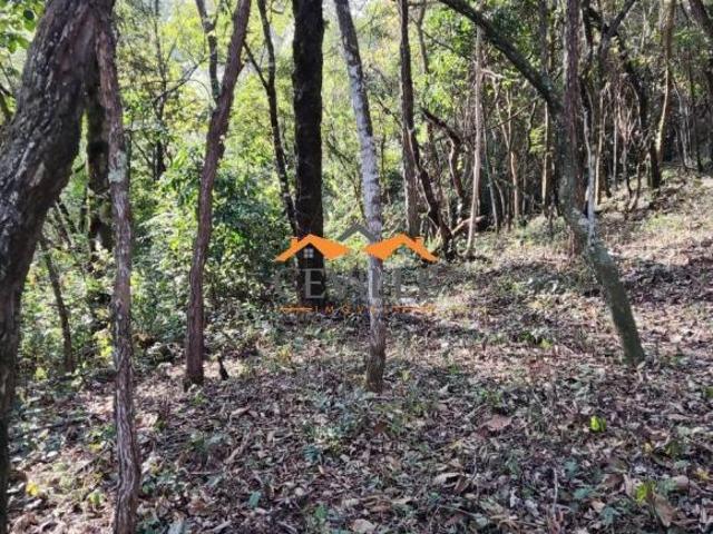 Terreno venda em Região Geográfica Imediata de Belo Horizonte, Região Metropolitana de Belo Horizonte