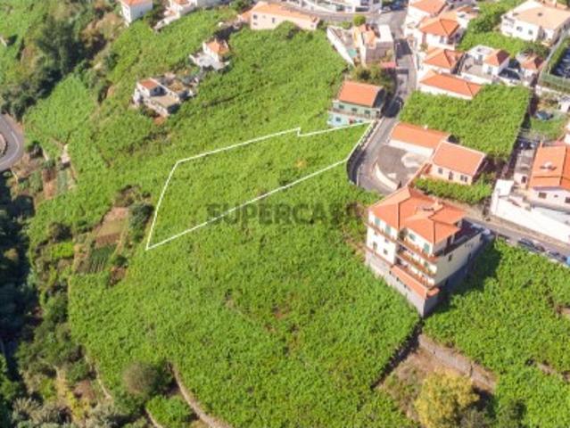 Terreno venda em Câmara De Lobos Terreno venda em Câmara De Lobos