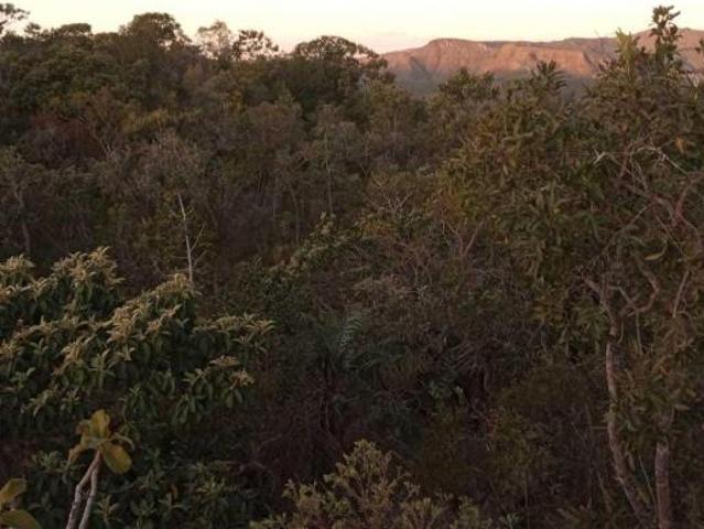 Terreno venda em Região Geográfica Imediata de Flores de Goiás, Alto Paraíso de Goiás