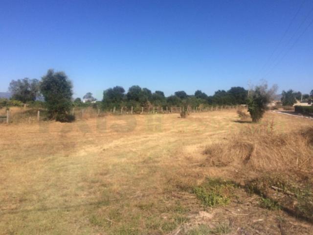 Terreno venda em Trofa de Cima, Valença