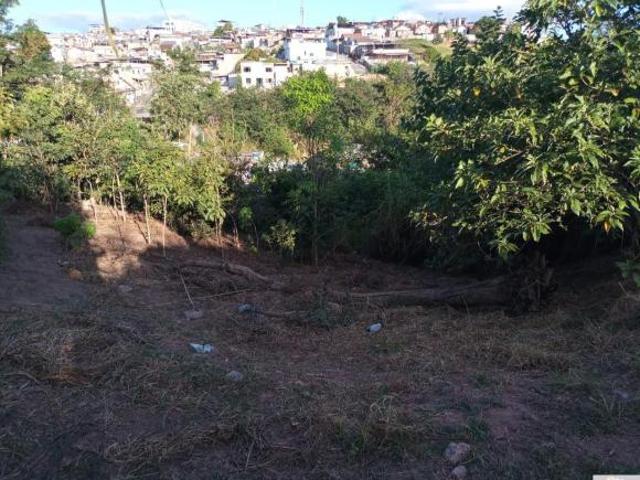Terreno venda em Região Geográfica Imediata de Barbacena, Barroso