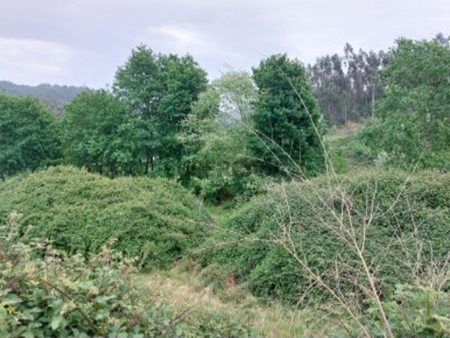 Terreno venda em Alto da Quinta, Parada Do Bouro