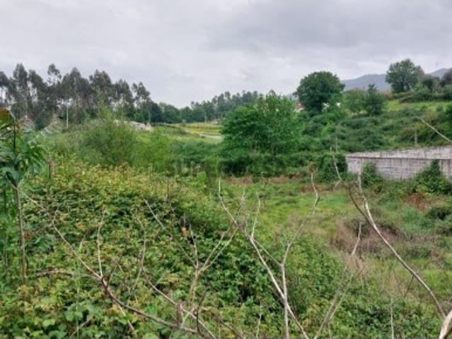 Terreno venda em Alto da Quinta, Parada Do Bouro