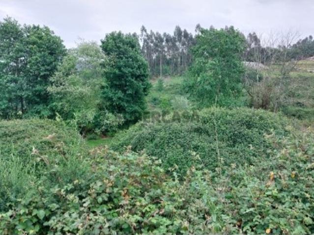 Terreno venda em Alto da Quinta, Parada Do Bouro