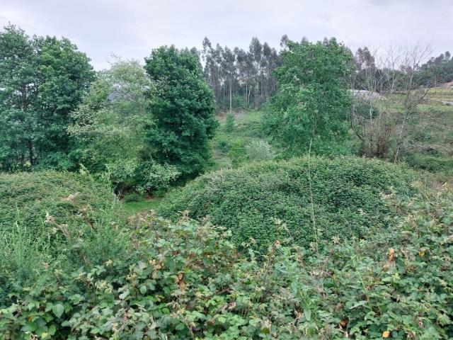 Terreno venda em Parada Do Bouro, Braga
