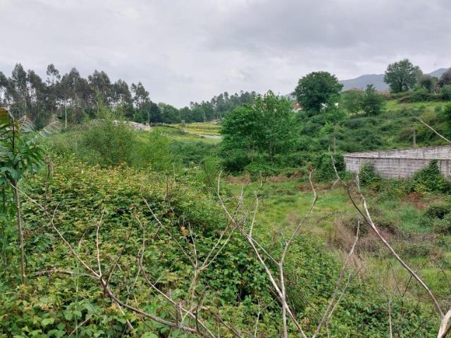 Terreno venda em Parada Do Bouro, Braga