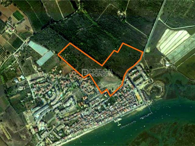 Terreno venda em Silves, Faro