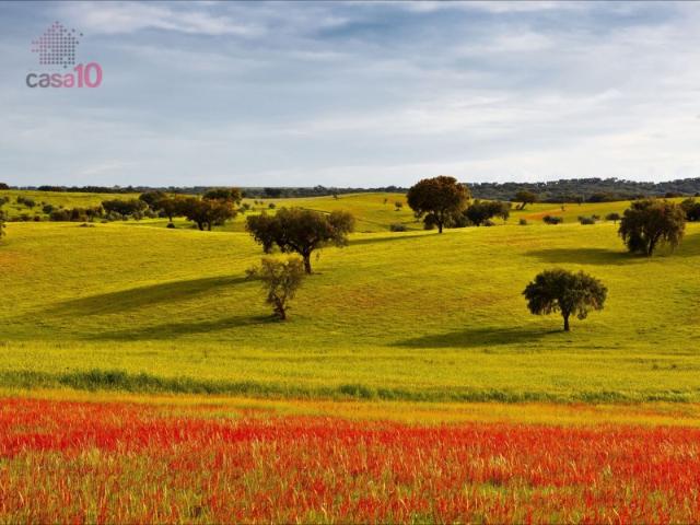 Terreno venda em Évora