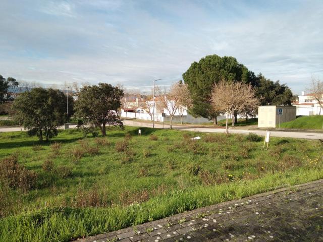 Terreno venda em Entroncamento, Nossa Senhora De Fátima