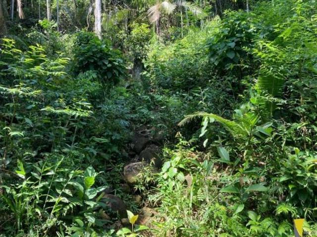 Terreno venda em Ubatuba