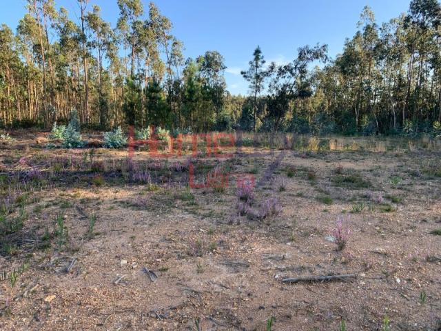 Terreno venda em Cavadas de Baixo, Águeda
