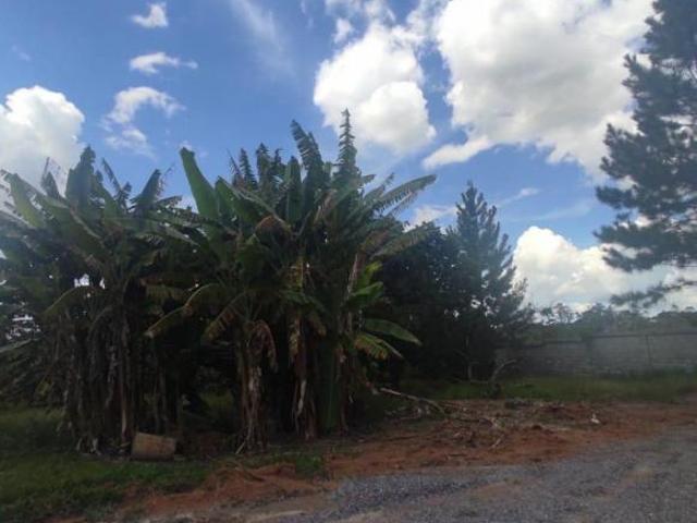 Terreno venda em Região Geográfica Imediata do Distrito Federal, Região Integrada de Desenvolvimento do Distrito Federal e Entorno
