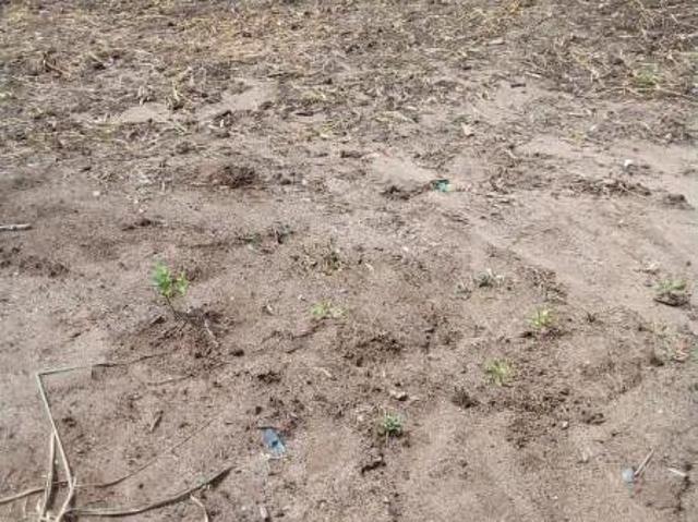Terreno venda em Região Geográfica Imediata de Belo Horizonte, Região Metropolitana de Belo Horizonte