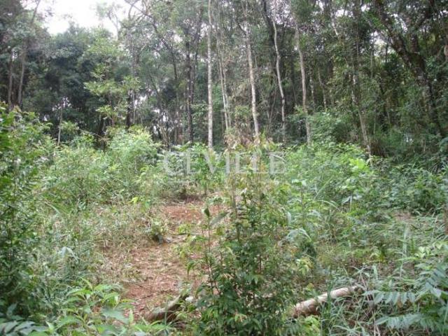 Terreno venda em Região Geográfica Imediata de Belo Horizonte, Região Metropolitana de Belo Horizonte