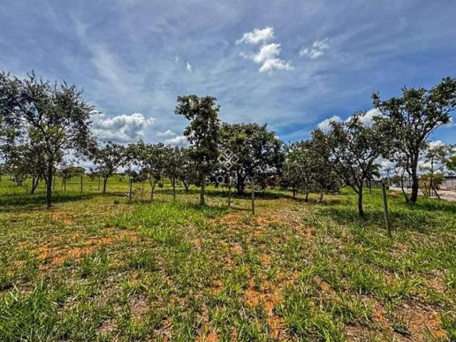 Terreno venda em Região Geográfica Imediata do Distrito Federal, Região Integrada de Desenvolvimento do Distrito Federal e Entorno