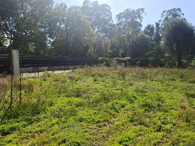 Terreno venda em Sameiro, Amares