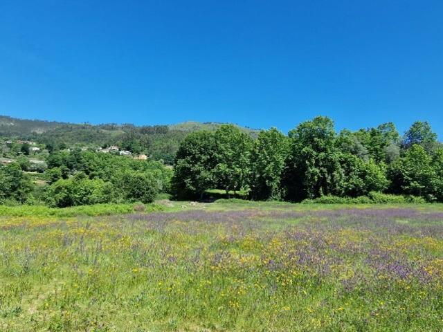 Terreno venda em Parada Do Bouro, Braga