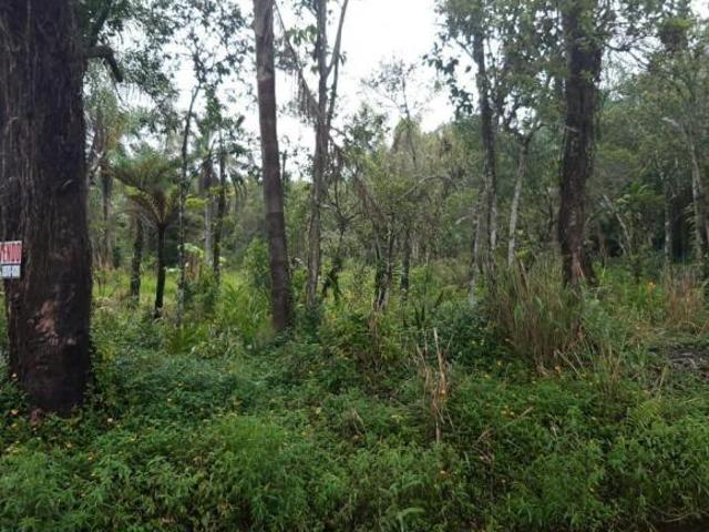 Sítio e chácara venda em Região Imediata de Santos, Região Metropolitana da Baixada Santista