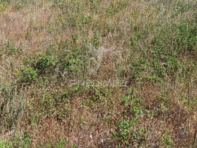 Terreno venda em Portalegre