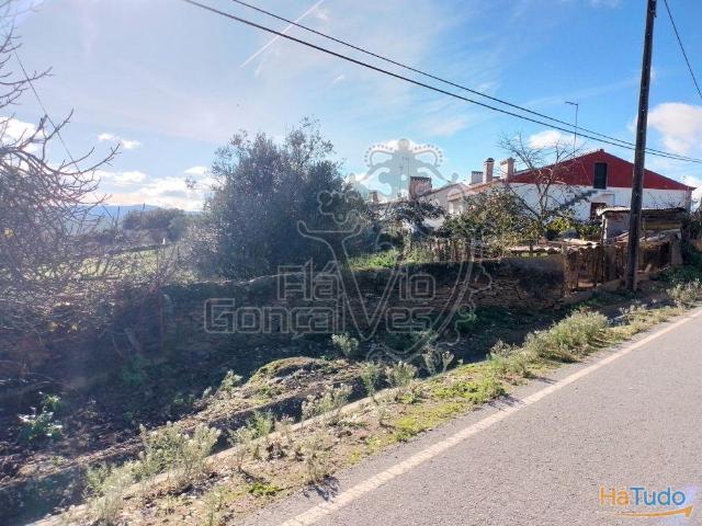 Terreno venda em Estremoz, Évora