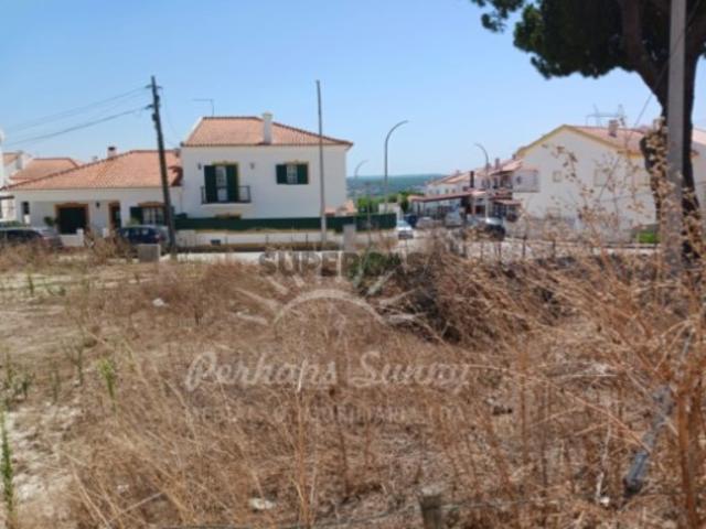 Terreno venda em Barrosinha, Alcácer Do Sal