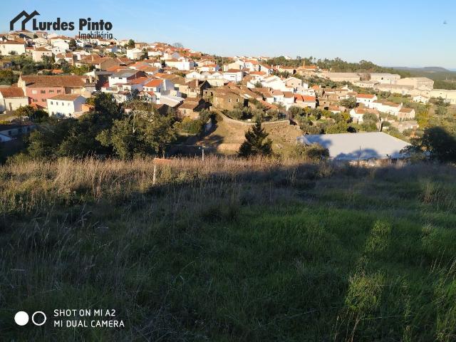 Terreno venda em Castelo Branco