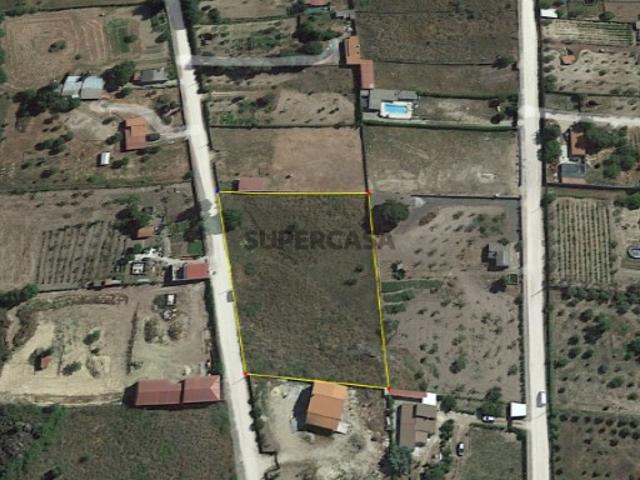 Terreno venda em Castelo Branco