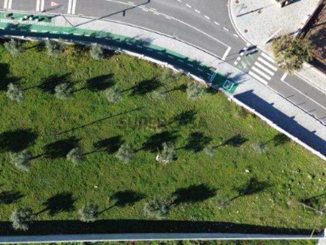 Terreno venda em Castelo Branco