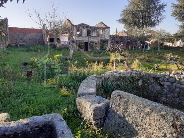 Terreno venda em Castelo Branco