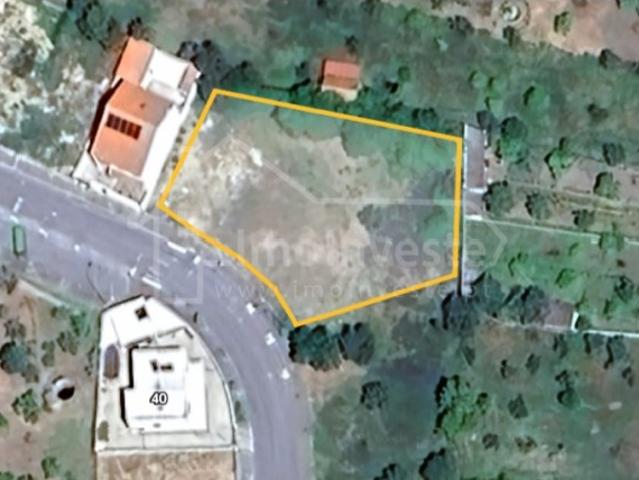 Terreno venda em Castelo Branco